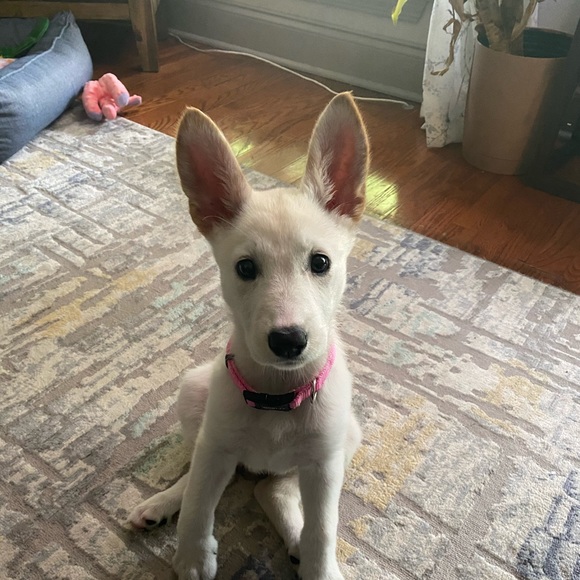 Make me an offer!! - Picture 1 of 1